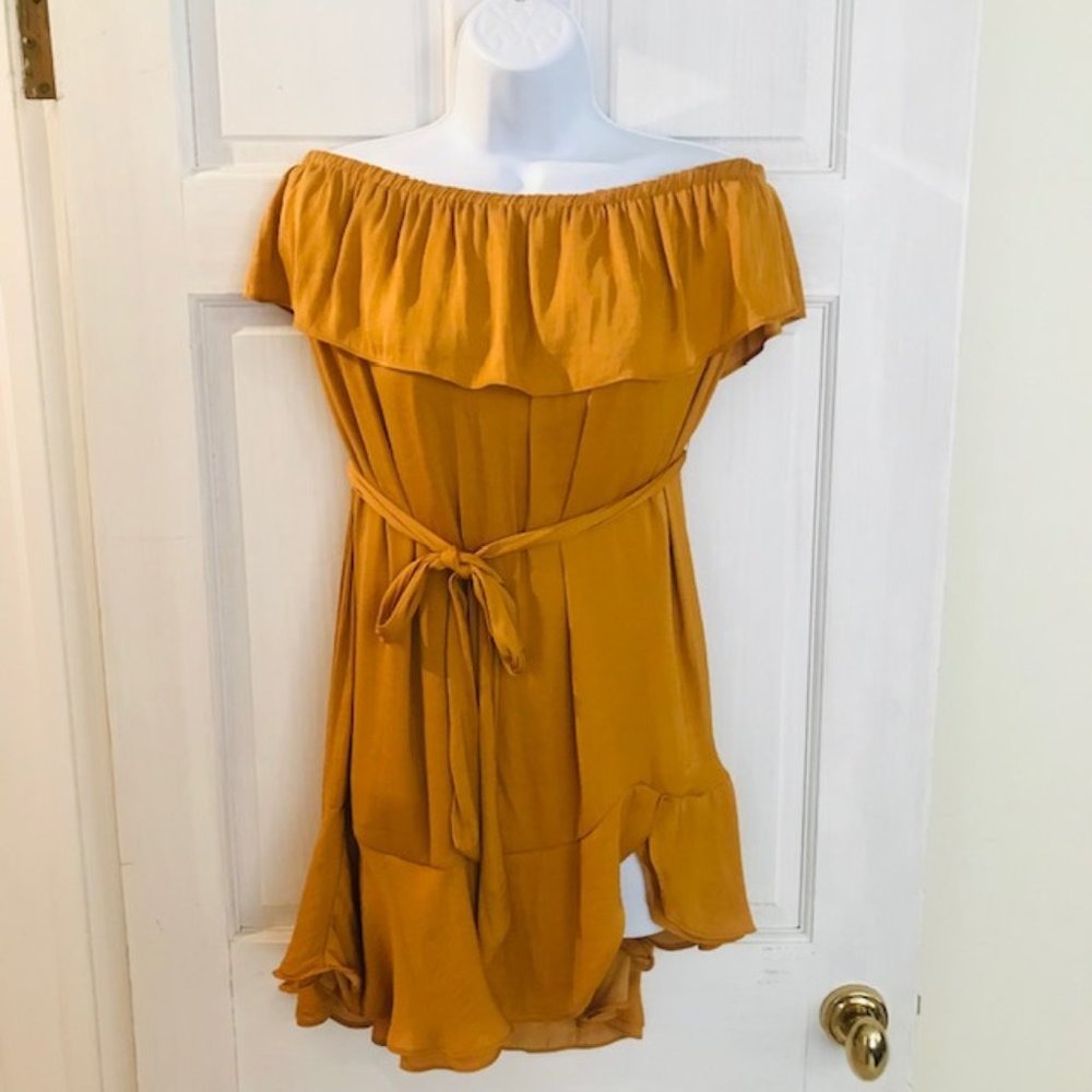 NWOT Naked Zebra Off-the-Shoulder Mini